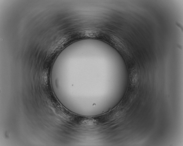 X0000103460595200809191813