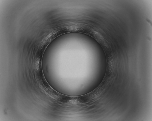 X0000103460596200809191813