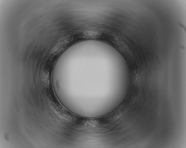 X0000103460599200809191813