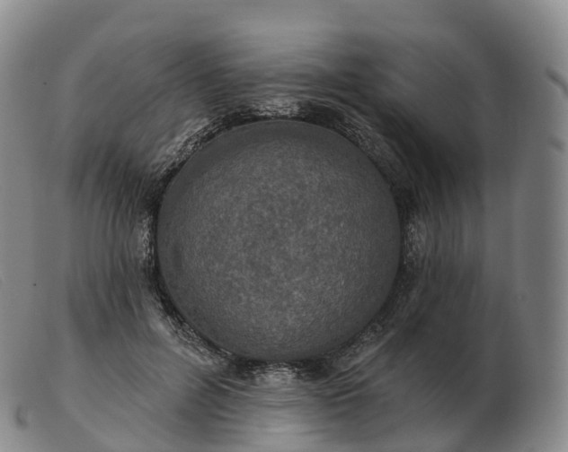 X0000103460600200809191813