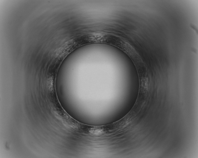 X0000103460602200809191813