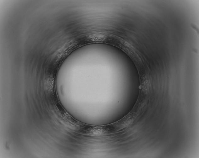 X0000103460604200809191813