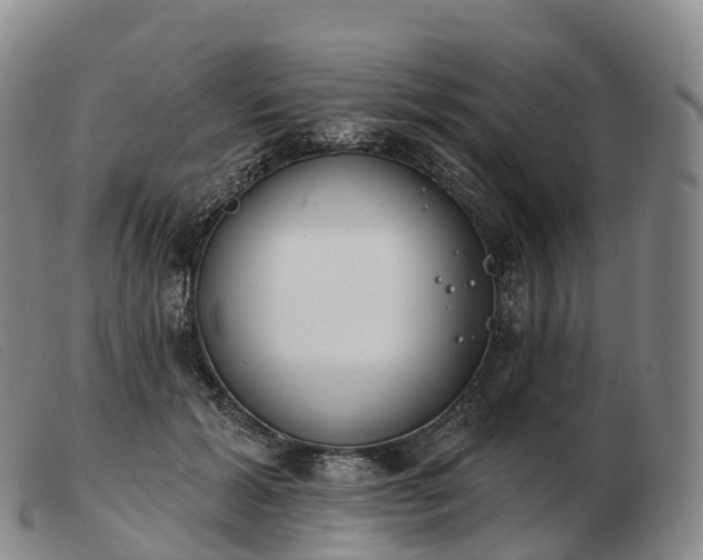 X0000103460605200809191813