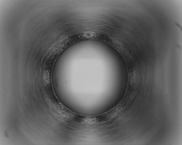 X0000103460606200809191813