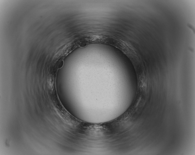 X0000103460607200809191813