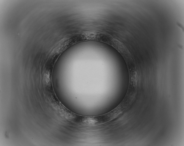 X0000103460610200809191813