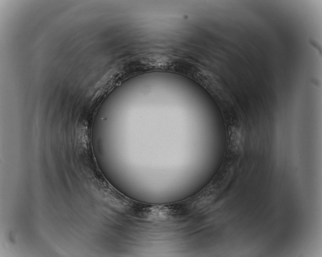 X0000103460612200809191813