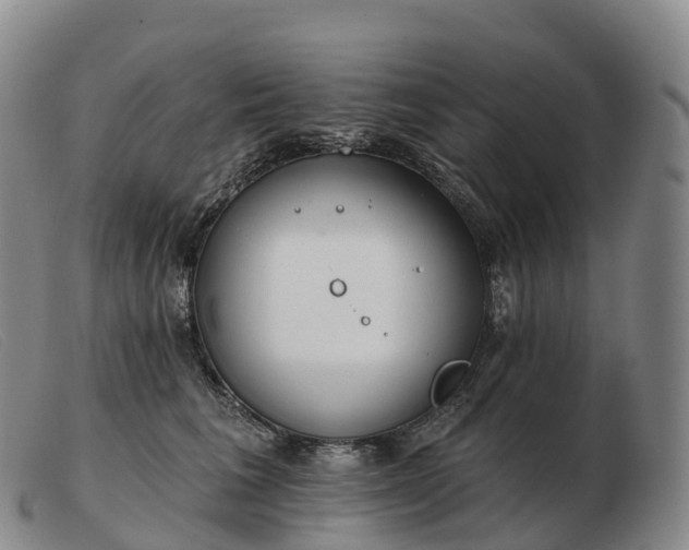 X0000103460613200809191813