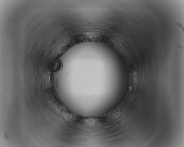 X0000103460615200809191813