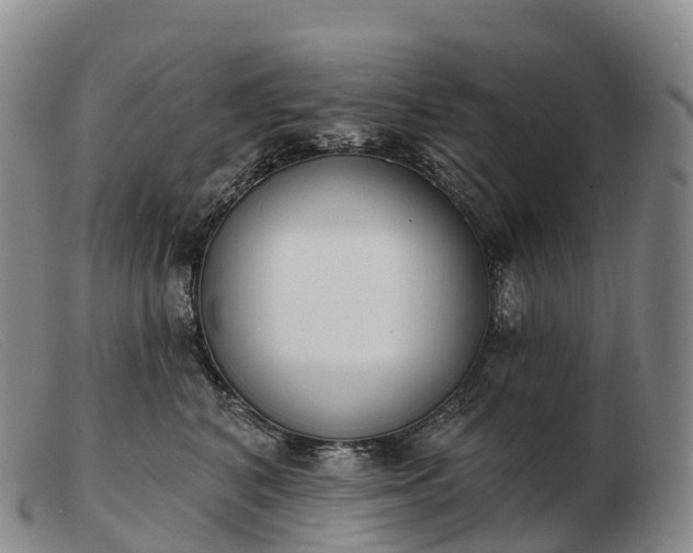 X0000103460616200809191813