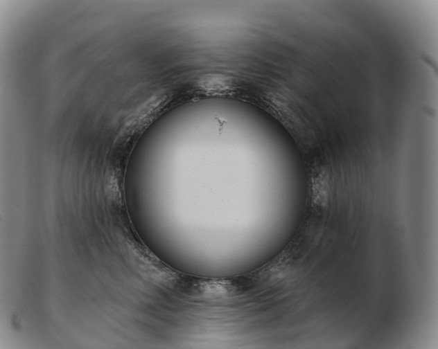 X0000103460618200809191813