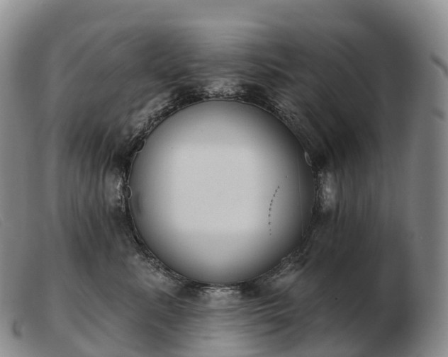 X0000103460619200809191813
