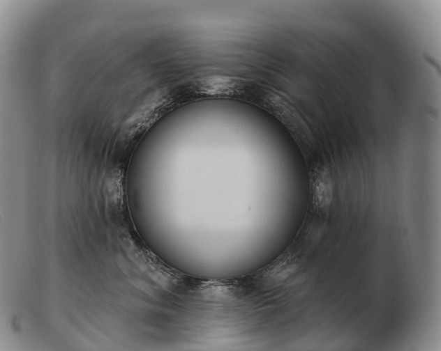 X0000103460620200809191813