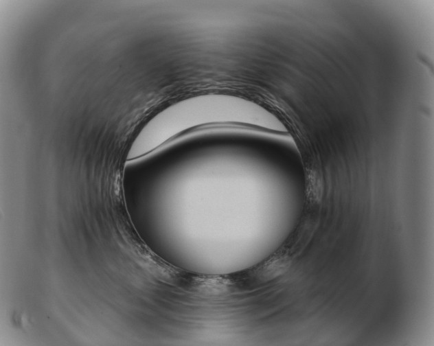 X0000103460621200809191813