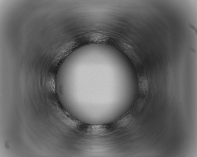 X0000103460622200809191813