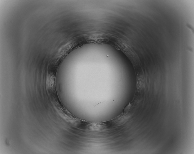 X0000103460623200809191813