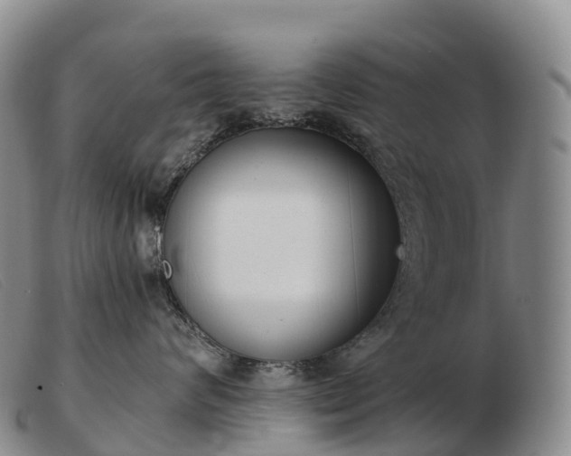 X0000103460624200809191813