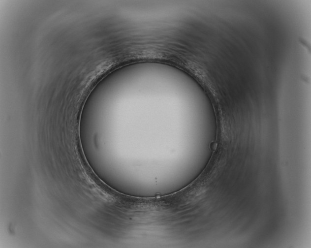 X0000103460625200809191812