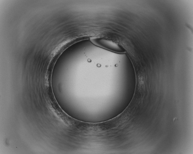 X0000103460628200809191812