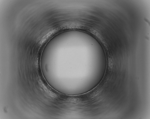 X0000103460629200809191812