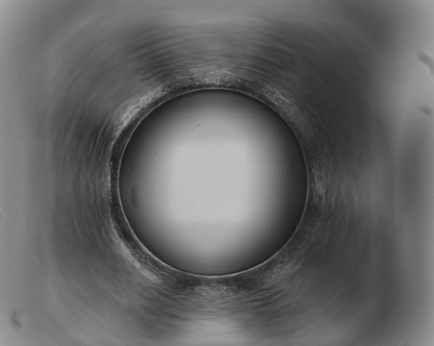X0000103460630200809191812