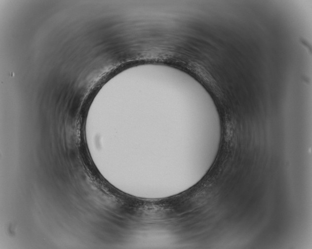 X0000103460632200809191812