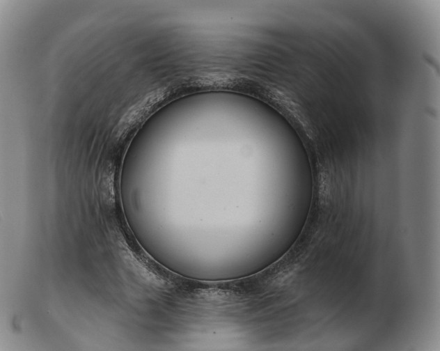 X0000103460633200809191813