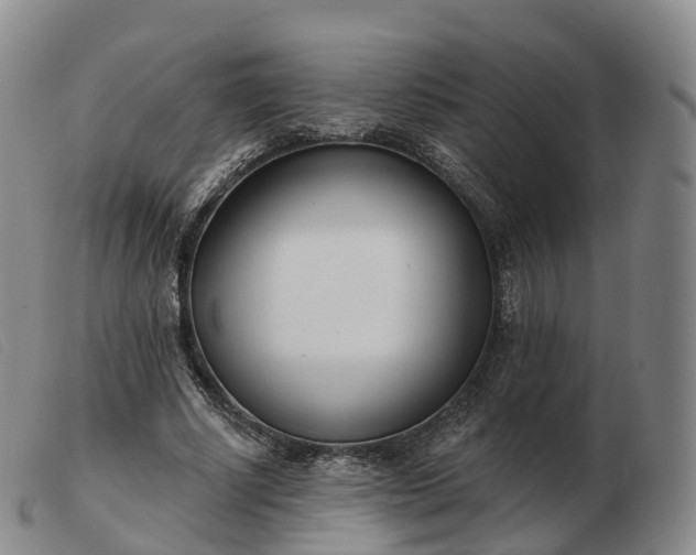 X0000103460634200809191813