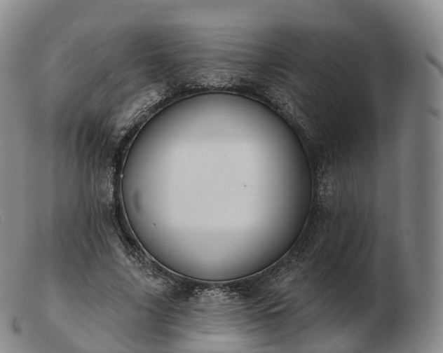 X0000103460635200809191813