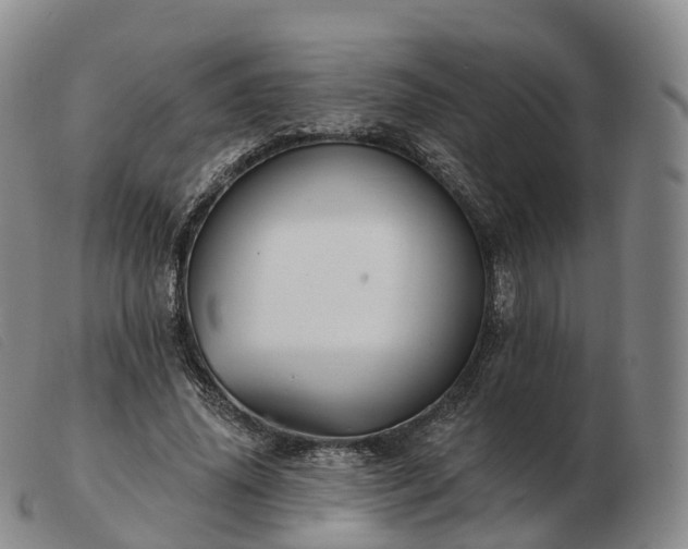 X0000103460636200809191813