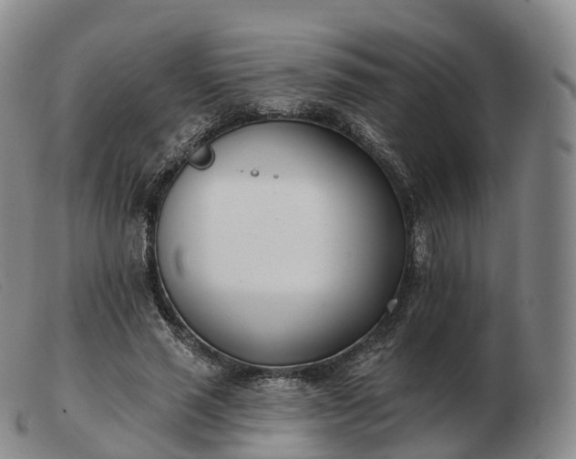 X0000103460637200809191813
