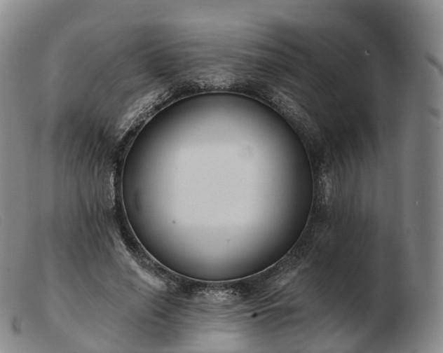 X0000103460638200809191813