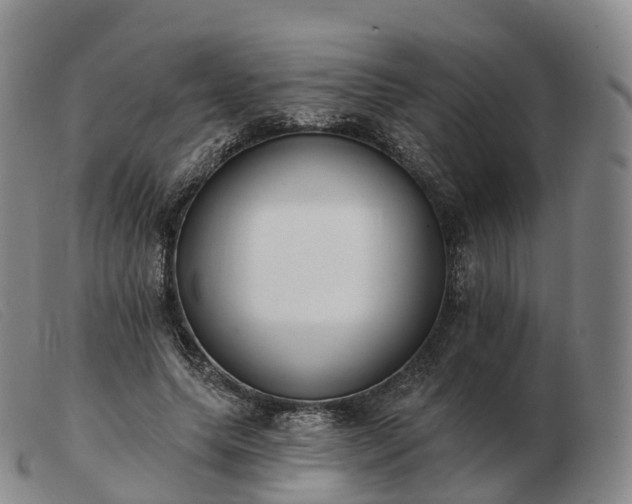 X0000103460639200809191813