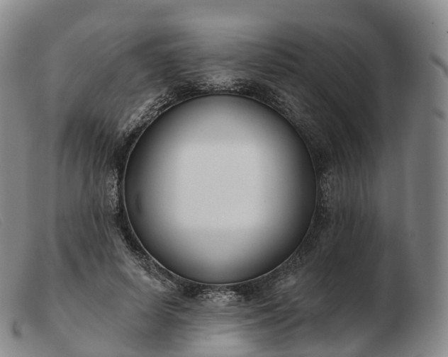 X0000103460642200809191813