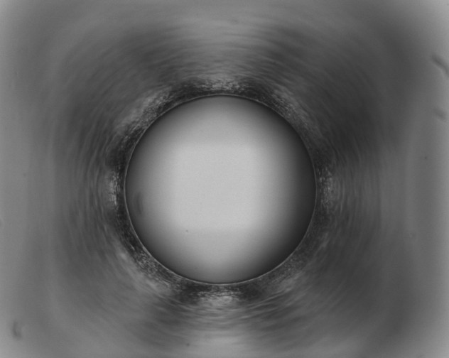 X0000103460643200809191813