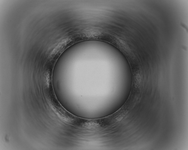 X0000103460644200809191813
