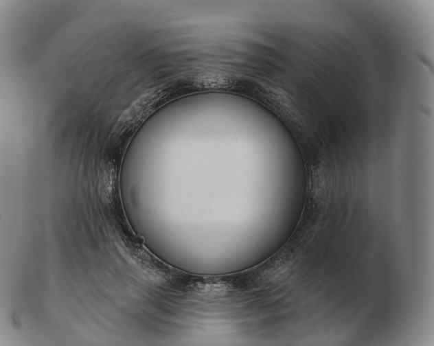 X0000103460645200809191813