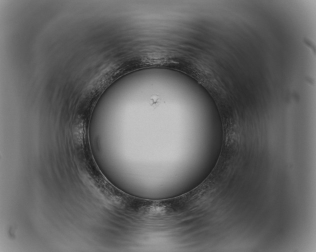 X0000103460647200809191813