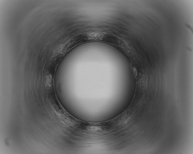 X0000103460649200809191813