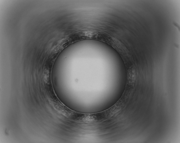 X0000103460656200809191813