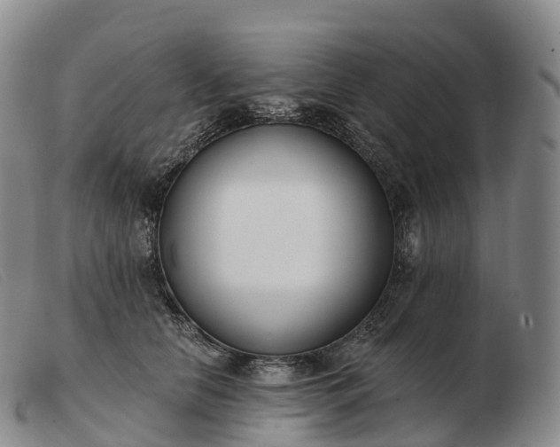 X0000103460658200809191813