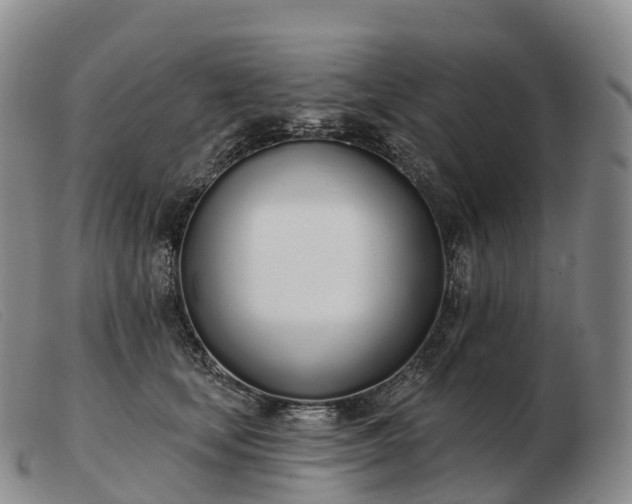 X0000103460659200809191813