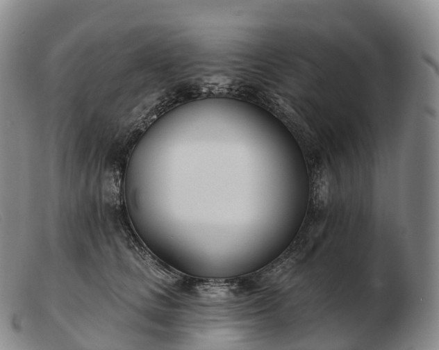 X0000103460661200809191813