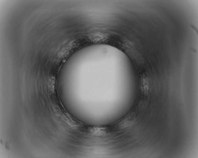X0000103460664200809191813