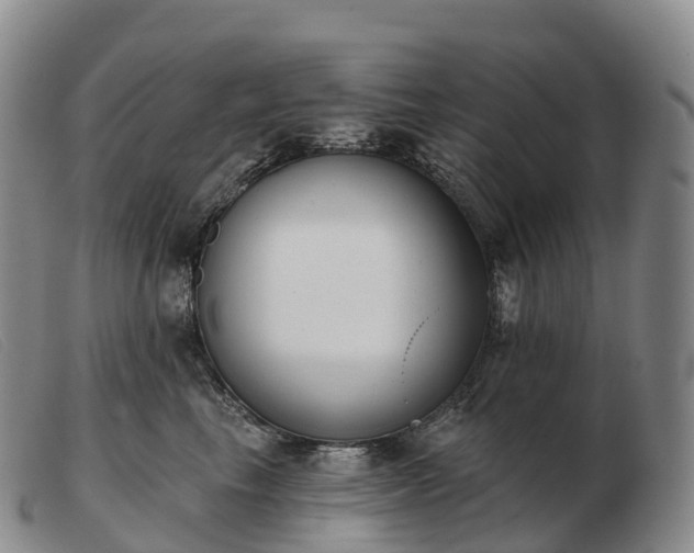 X0000103460665200809191813