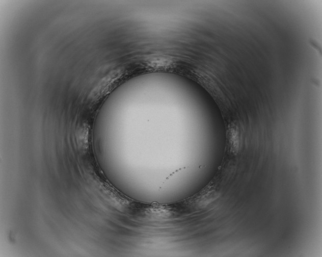 X0000103460668200809191813