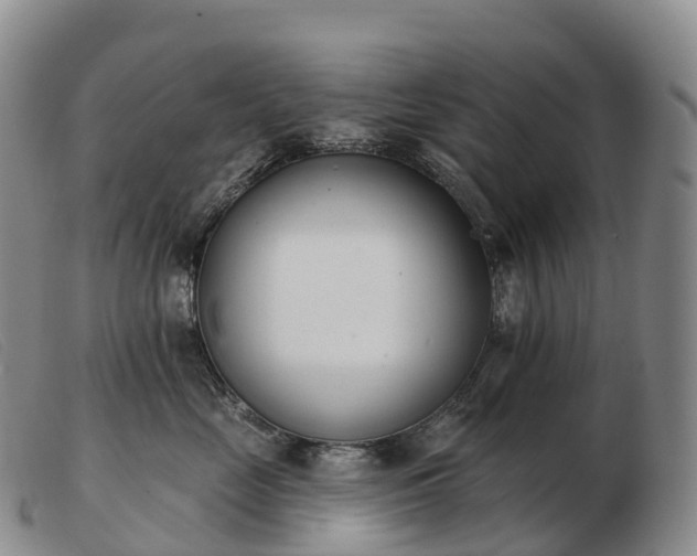 X0000103460669200809191813