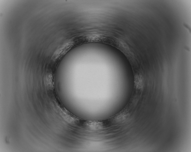 X0000103460670200809191813