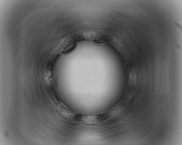 X0000103460671200809191813