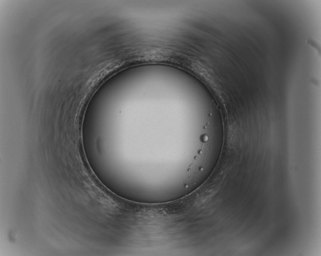 X0000103460673200809191812